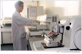 親子鑒定 殘酷的真相