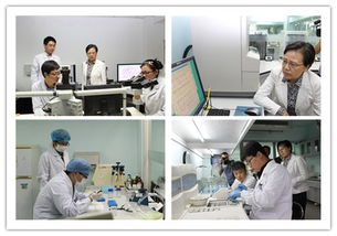 國家級司法鑒定機構建設促進會順利召開，法醫司法鑒定成為焦點