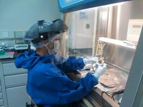 DNA見證者 鄧亞軍與親子鑒定背后的真相